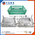 Plastic Fruit Vegetable Crate Mould